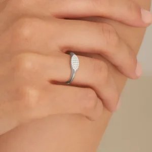 Starlounge Ringen | Ringen*Ania Haie AH R037-02H Glam Rock Dames Ring - Minimalistische ring