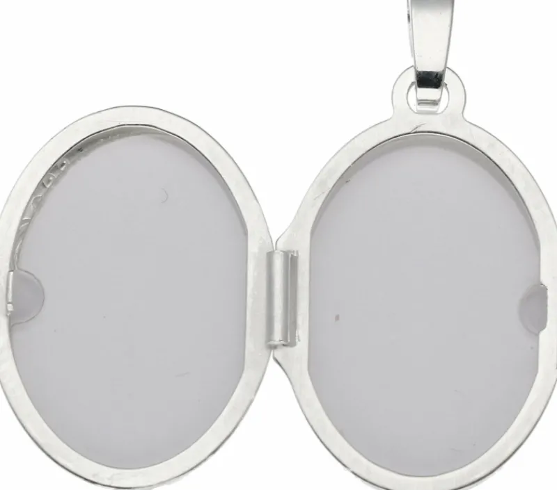Starlounge Hangers | Medaillon*Silver Lining 145.0007.00 Dames Hanger