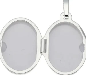 Starlounge Hangers | Medaillon*Silver Lining 145.0059.00 Dames Hanger